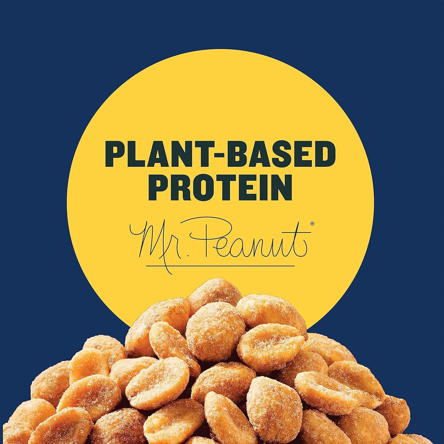 Honey Roasted Peanuts, Dry Roasted Peanuts, Party Snack, Plant-Based Protein, after School Snack, Sweet and Salty, Salted Nuts, Sea Salt & Honey, Snacks for Adults, Kosher, 16Oz Jar